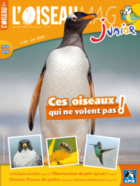 Couverture de l'OISEAU MAG JUNIOR n°39